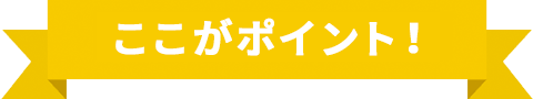 ここがポント